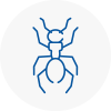 Ant Removals In Sheerness