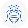 Bed Bug Extermination In Sheerness