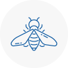 Bee Nest Removal Sheerness