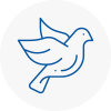 Bird Prevention Sheerness