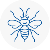 Sheerness Hornet Nest Removals