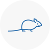 Mice Exterminators In Sheerness
