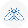 Moth Control Specialists In Sheerness