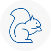Sheerness Rodent Removals